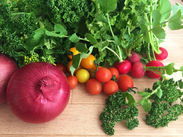 日本 一 基準の 厳しい オーガニック 宅配