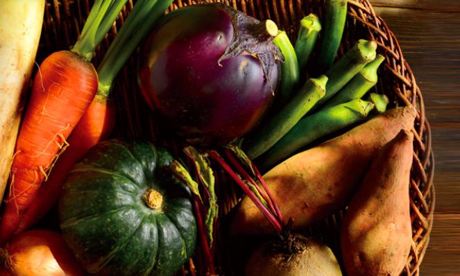 らでぃっしゅぼーや おすすめ