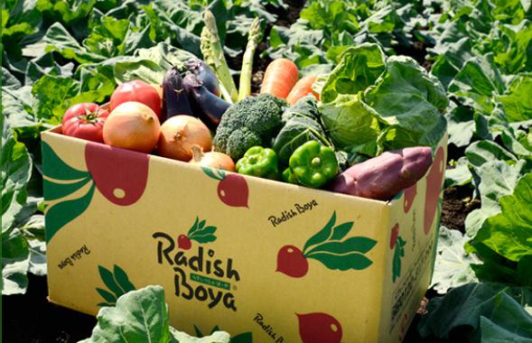 高齢者 おすすめ 宅配弁当